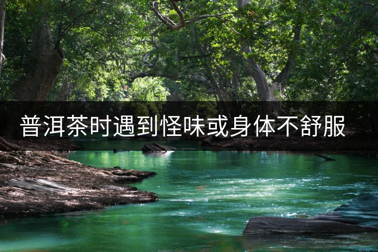 普洱茶時遇到怪味或身體不舒服時，怎么破？