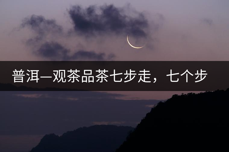 普洱—觀茶品茶七步走，七個步驟，喝懂普洱茶