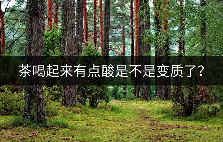 茶喝起來有點酸是不是變質了？