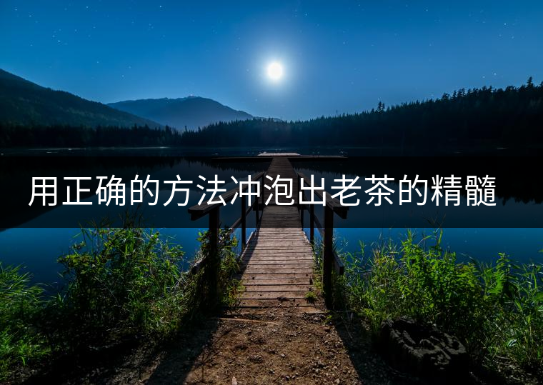 用正確的方法沖泡出老茶的精髓；評看普洱茶葉底也是一門手藝！