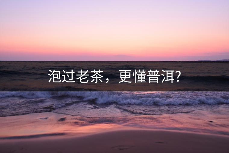 泡過老茶，更懂普洱?