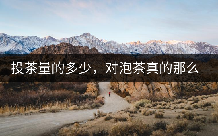 投茶量的多少，對泡茶真的那么重要嗎？