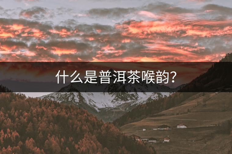 什么是普洱茶喉韻? 什么是普洱茶喉韻?