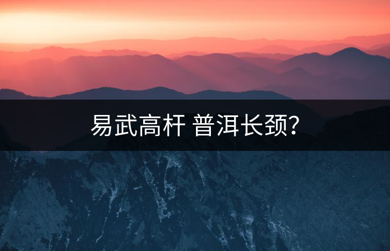 易武高桿 普洱長頸？