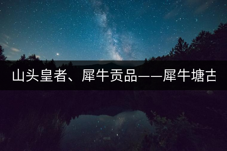 山頭皇者、犀牛貢品——犀牛塘古樹茶！