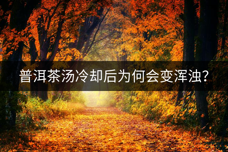 普洱茶湯冷卻后為何會變渾濁? 普洱茶湯冷卻后為何會變渾濁?