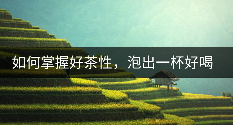 如何掌握好茶性,泡出一杯好喝的普洱熟茶? 如何掌握好茶性,泡出一杯好喝的普洱熟茶?