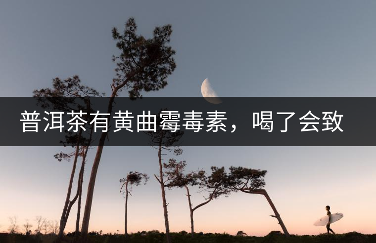 普洱茶有黃曲霉毒素，喝了會致癌？不黑不吹，咱用事實說話