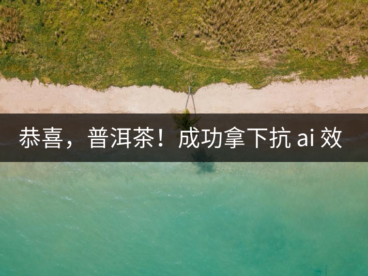 恭喜,普洱茶!成功拿下抗 ai 效果第二名! 恭喜,普洱茶!成功拿下抗 ai 效果第二名!