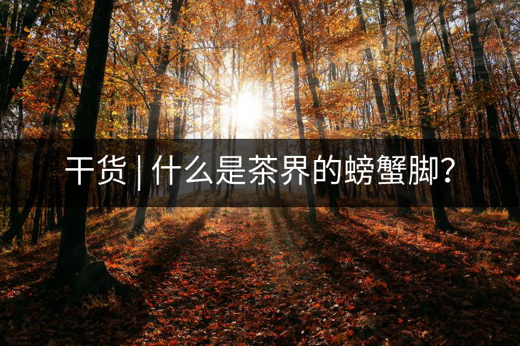 干貨 | 什么是茶界的螃蟹腳? 干貨 | 什么是茶界的螃蟹腳?