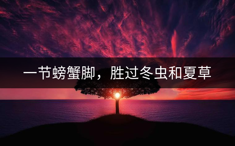 一節螃蟹腳,勝過冬蟲和夏草 一節螃蟹腳,勝過冬蟲和夏草