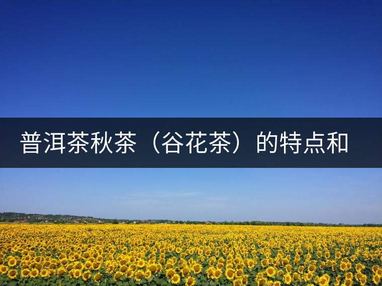普洱茶秋茶（谷花茶）的特點和鑒別