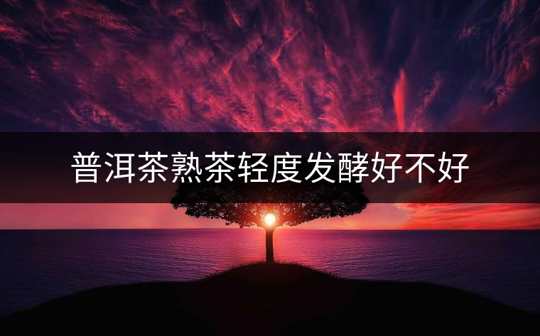 普洱茶熟茶輕度發(fā)酵好不好 普洱茶熟茶輕度發(fā)酵好不好