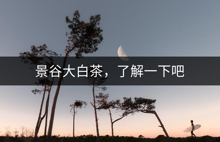 景谷大白茶，了解一下吧