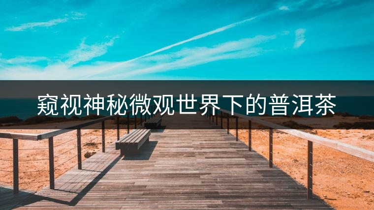 窺視神秘微觀世界下的普洱茶