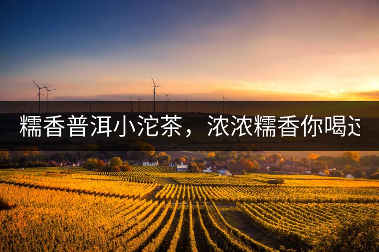 糯香普洱小沱茶，濃濃糯香你喝過嗎？