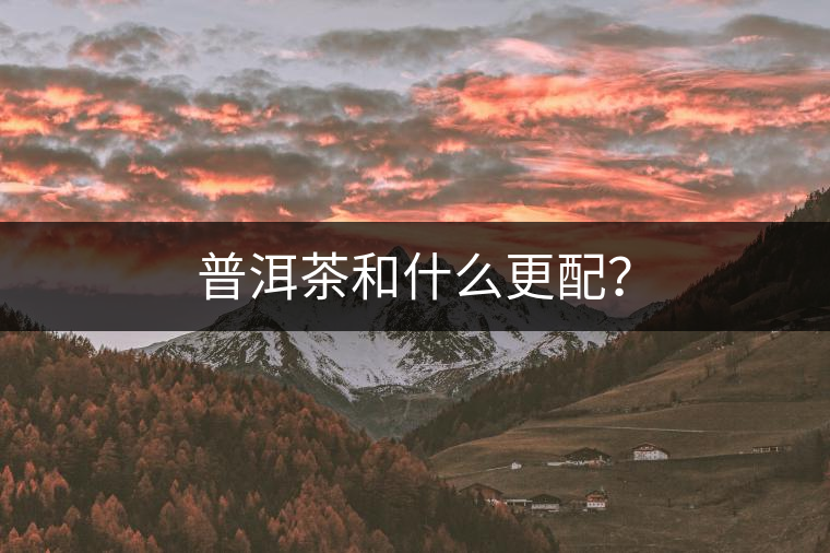 普洱茶和什么更配? 普洱茶和什么更配?