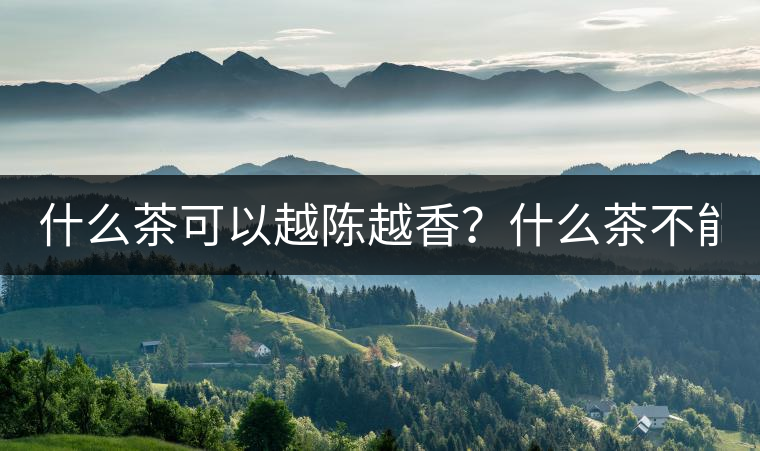 什么茶可以越陳越香?什么茶不能? 什么茶可以越陳越香?什么茶不能?