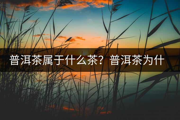 普洱茶屬于什么茶?普洱茶為什么會越陳越香? 普洱茶屬于什么茶?普洱茶為什么會越陳越香?