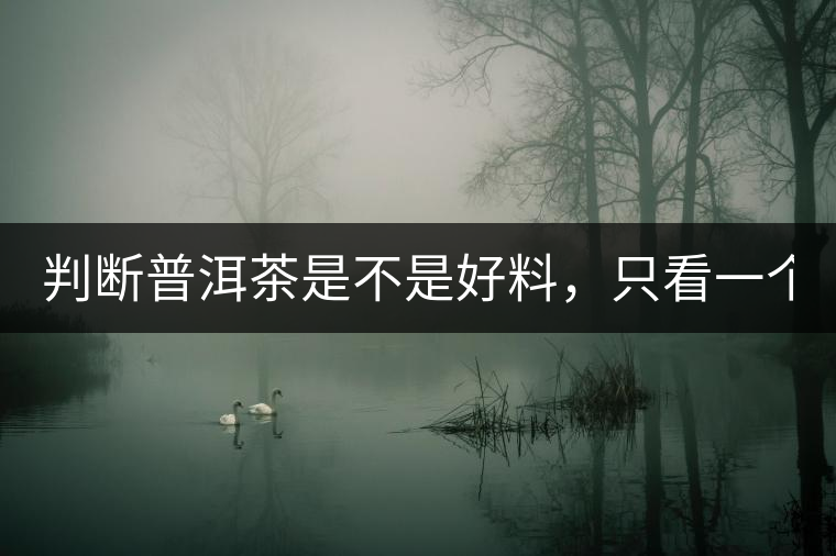 判斷普洱茶是不是好料,只看一個地方! 判斷普洱茶是不是好料,只看一個地方!