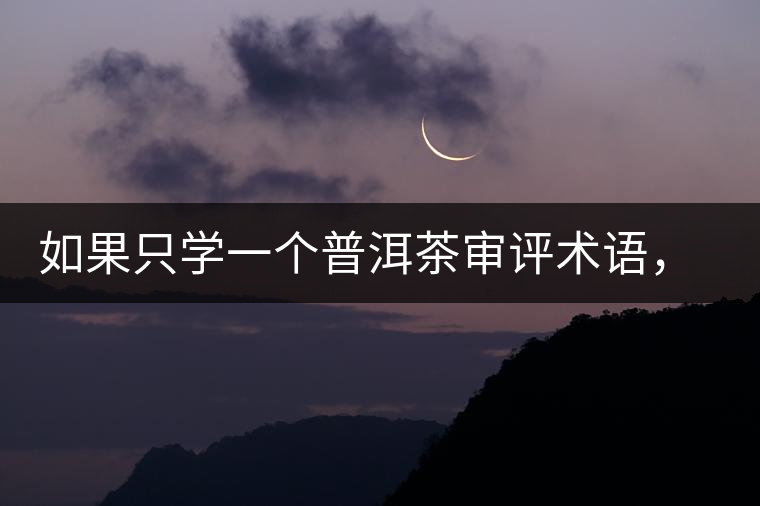 如果只學(xué)一個(gè)普洱茶審評(píng)術(shù)語(yǔ),那應(yīng)該是什么? 如果只學(xué)一個(gè)普洱茶審評(píng)術(shù)語(yǔ),那應(yīng)該是什么?
