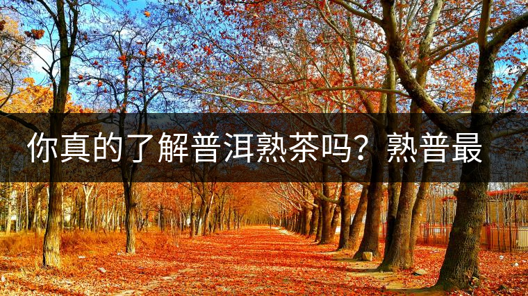 你真的了解普洱熟茶嗎？熟普最詳細的揭秘都在這里了。