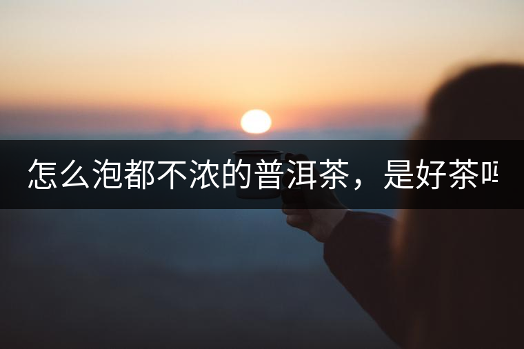 怎么泡都不濃的普洱茶，是好茶嗎？