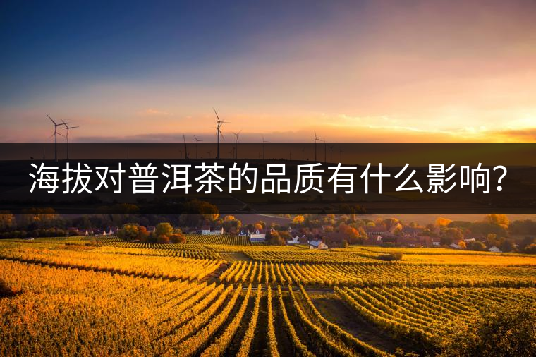 海拔對普洱茶的品質有什么影響？