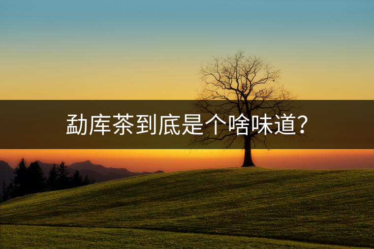 勐庫茶到底是個啥味道? 勐庫茶到底是個啥味道?