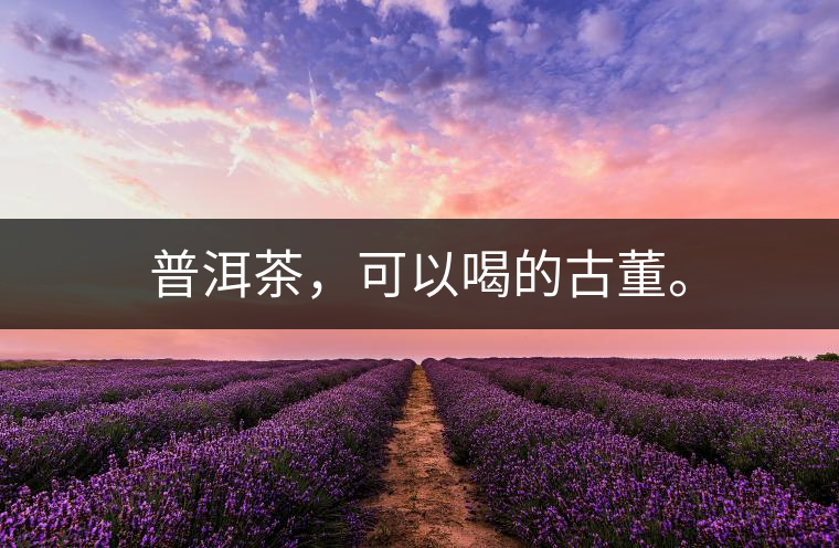 普洱茶，可以喝的古董。
