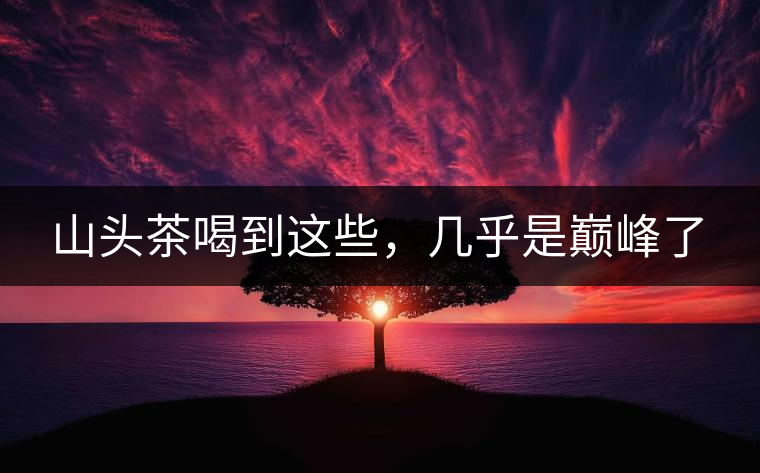 山頭茶喝到這些,幾乎是巔峰了 山頭茶喝到這些,幾乎是巔峰了