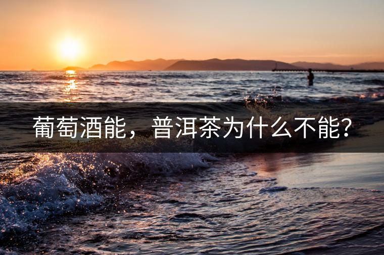 葡萄酒能，普洱茶為什么不能？