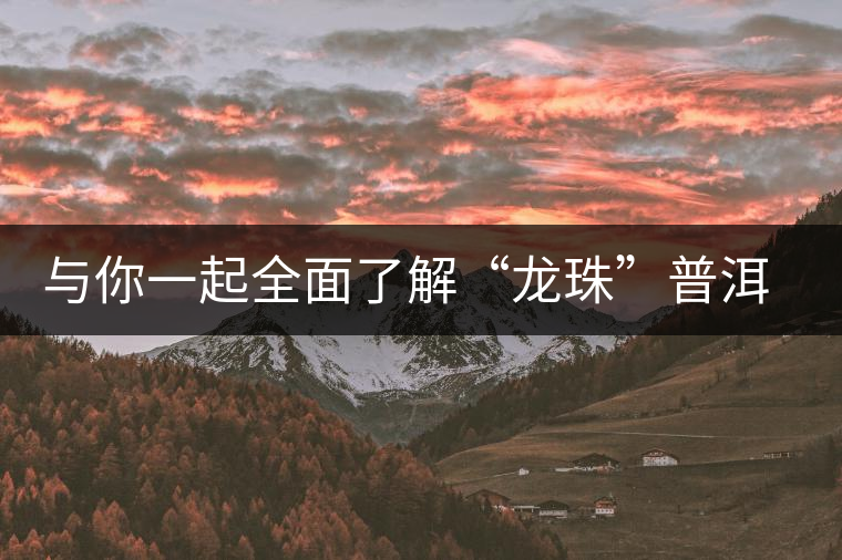 與你一起全面了解“龍珠”普洱茶