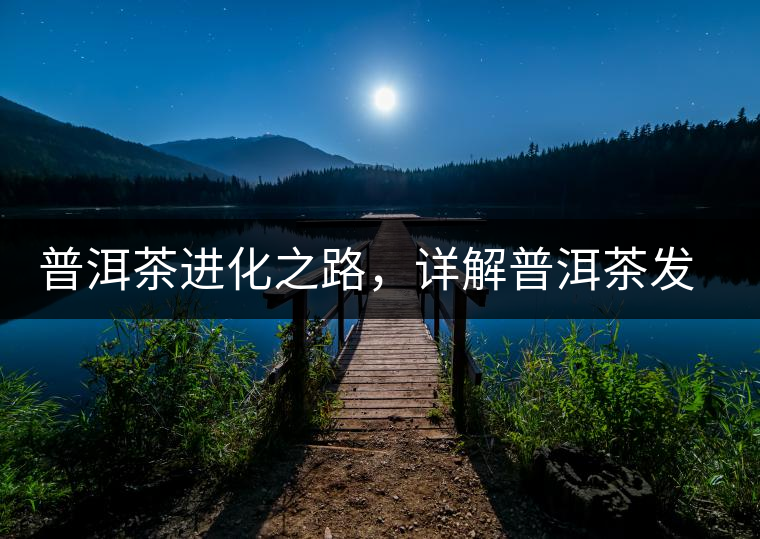 普洱茶進化之路,詳解普洱茶發(fā)展的三大重要階段 普洱茶進化之路,詳解普洱茶發(fā)展的三大重要階段