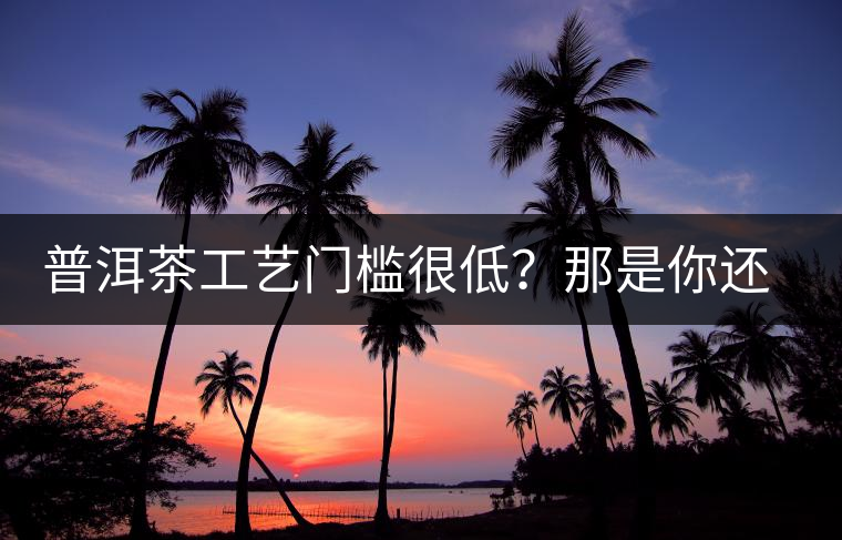 普洱茶工藝門檻很低?那是你還沒有參透工藝與自然之間的奧秘! 普洱茶工藝門檻很低?那是你還沒有參透工藝與自然之間的奧秘!