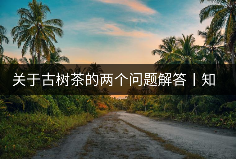 關(guān)于古樹茶的兩個(gè)問題解答丨知識