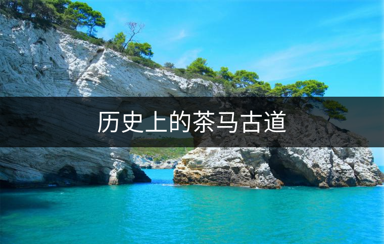 歷史上的茶馬古道
