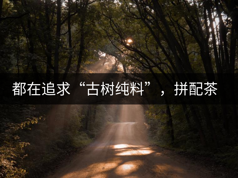 都在追求“古樹純料”，拼配茶真的不如純料的？