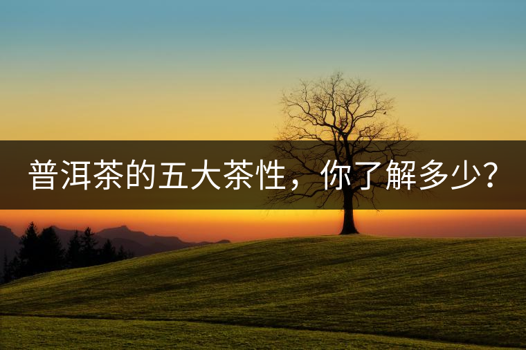 普洱茶的五大茶性,你了解多少? 普洱茶的五大茶性,你了解多少?