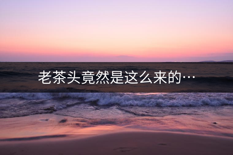 老茶頭竟然是這么來(lái)的… 老茶頭竟然是這么來(lái)的…