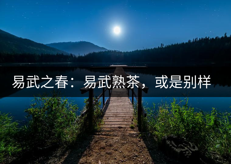 易武之春:易武熟茶,或是別樣風(fēng)采丨賞鑒 易武之春:易武熟茶,或是別樣風(fēng)采丨賞鑒