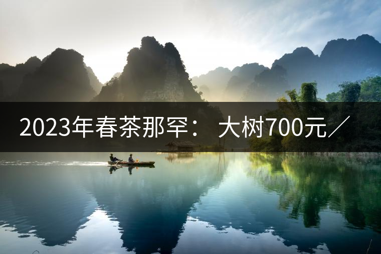 2023年春茶那罕: 大樹(shù)700元/公斤,古樹(shù):1200-1600元/公斤 2023年春茶那罕: 大樹(shù)700元/公斤,古樹(shù):1200-1600元/公斤