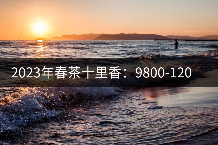 2023年春茶十里香:9800-12000元/公斤,十里香紅茶:9800-12000元/公斤 2023年春茶十里香:9800-12000元/公斤,十里香紅茶:9800-12000元/公斤