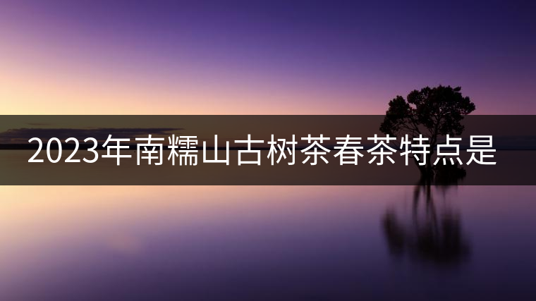 2023年南糯山古樹茶春茶特點是什么? 2023年南糯山古樹茶春茶特點是什么?