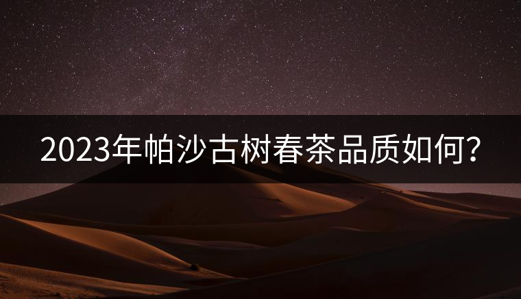 2023年帕沙古樹春茶品質如何？