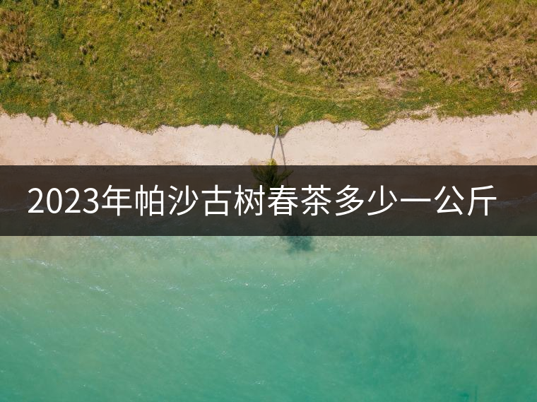 2023年帕沙古樹春茶多少一公斤? 2023年帕沙古樹春茶多少一公斤?