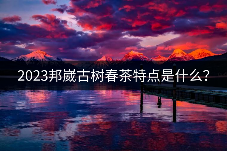 2023邦崴古樹(shù)春茶特點(diǎn)是什么？