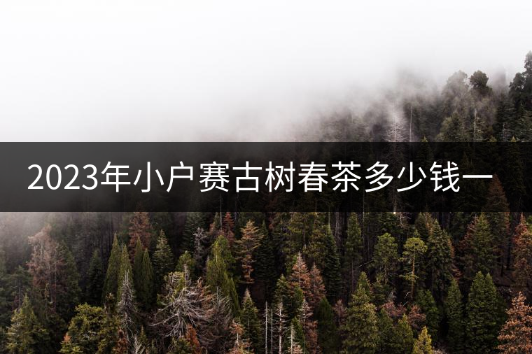 2023年小戶賽古樹春茶多少錢一公斤？