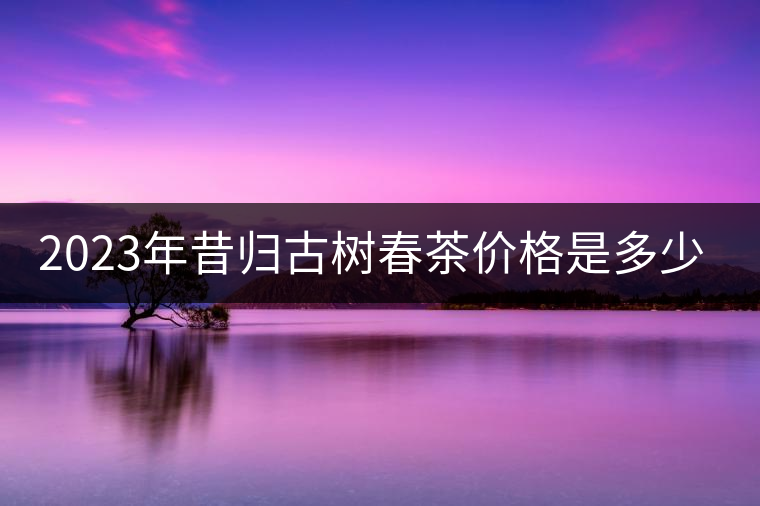 2023年昔歸古樹春茶價格是多少? 2023年昔歸古樹春茶價格是多少?