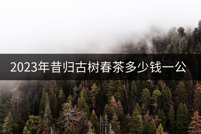 2023年昔歸古樹春茶多少錢一公斤? 2023年昔歸古樹春茶多少錢一公斤?